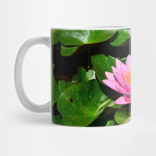 Lotus Flower by djmrice